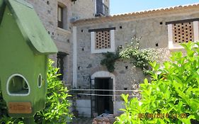 La Gatta Sul Tetto